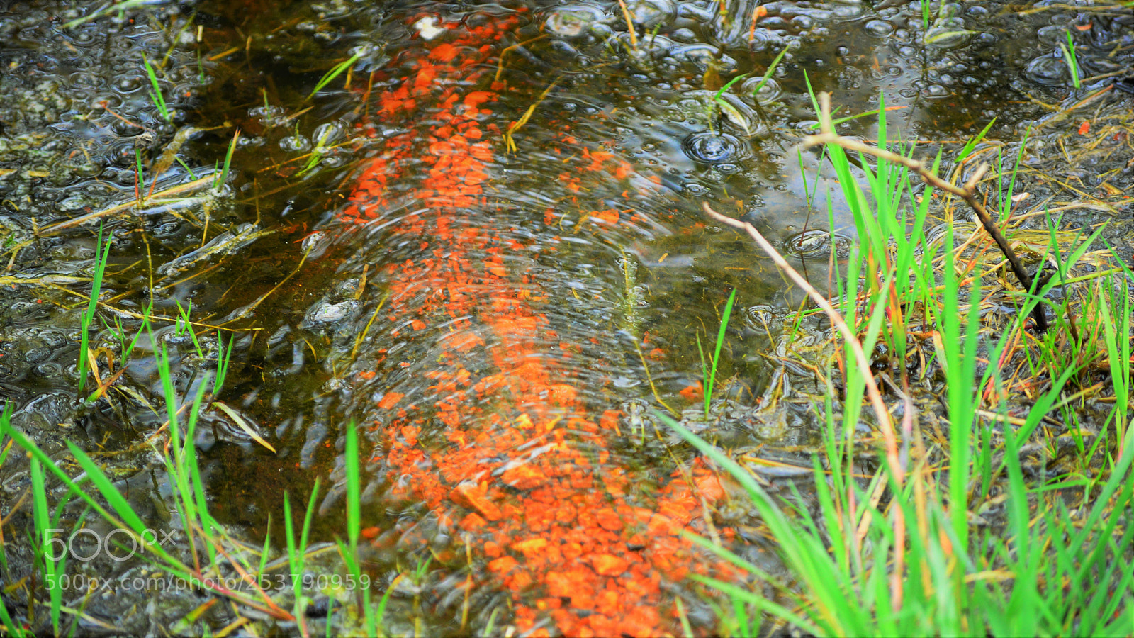 Nikon D3200 sample photo. Untitled photography