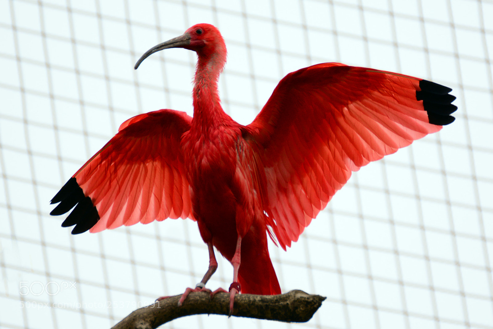 Nikon D7100 sample photo. Tierpark hellabrunn / 15.04.2017 photography