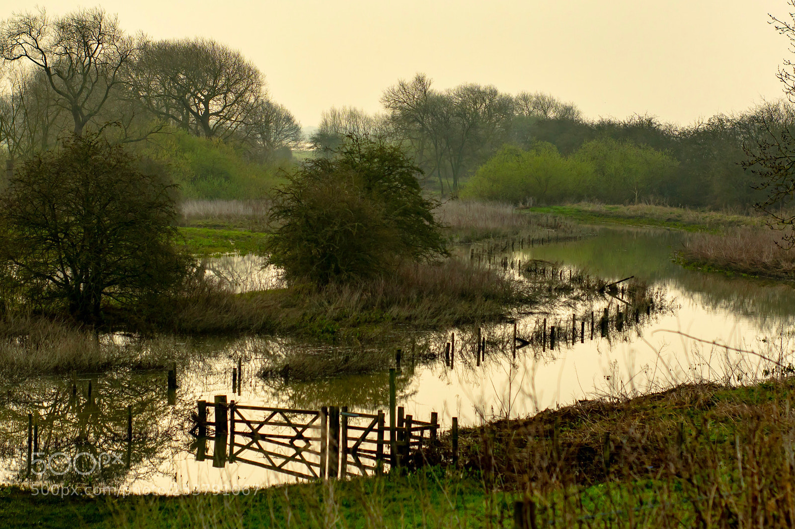Canon EOS 1300D (EOS Rebel T6 / EOS Kiss X80) sample photo. Flood plain photography