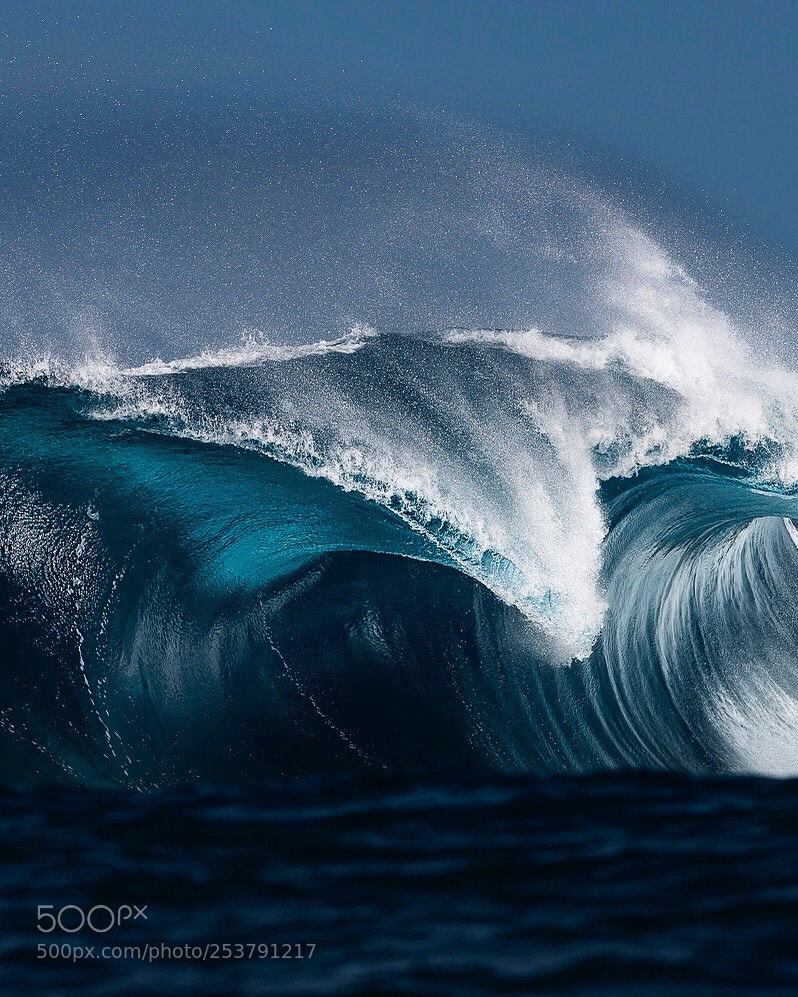 Canon EOS-1D X sample photo. From deep water to photography