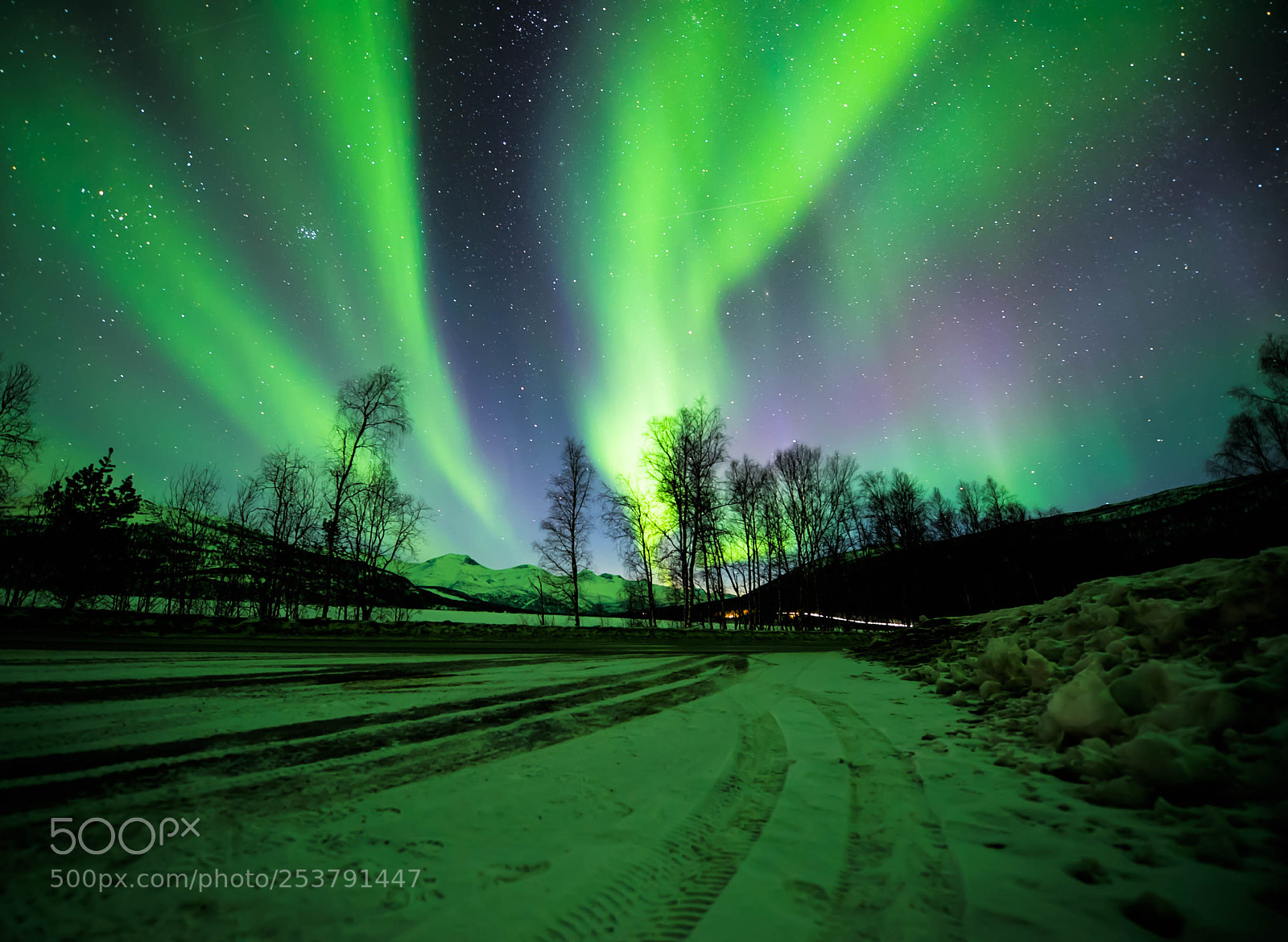 Nikon D810 sample photo. Aurora photography
