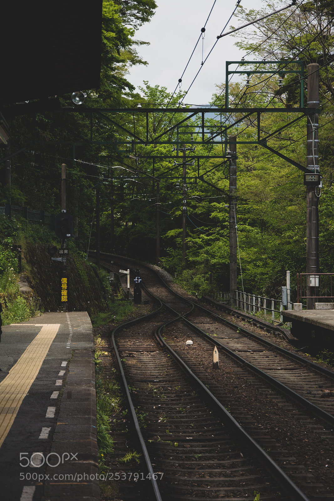Nikon D7100 sample photo. Hakone's 109 photography