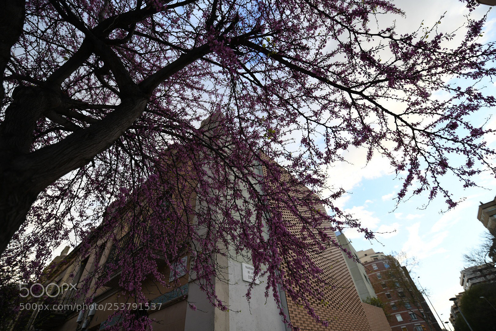 Nikon D850 sample photo. Travessera de les corts photography
