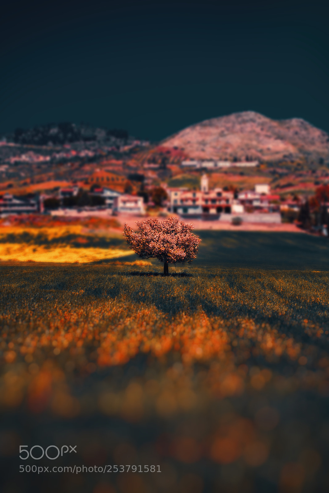 Nikon D7100 sample photo. Spring tree photography