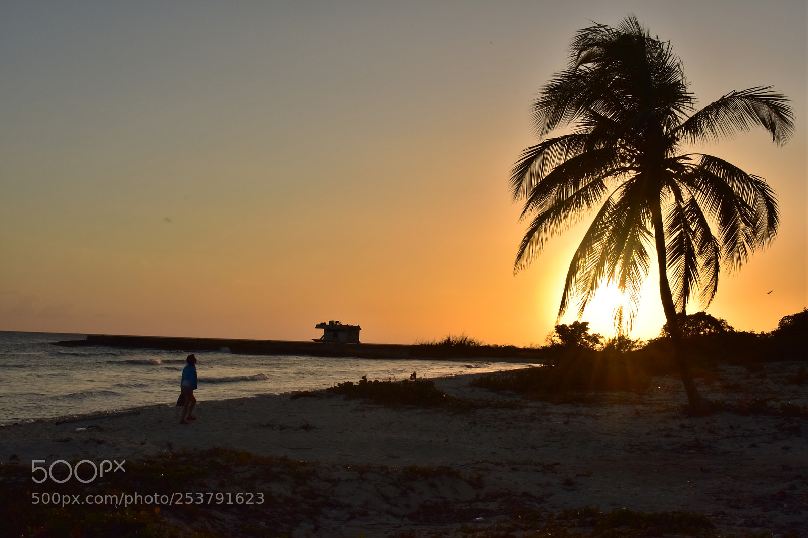 Nikon D3400 sample photo. The rebirth of playa photography