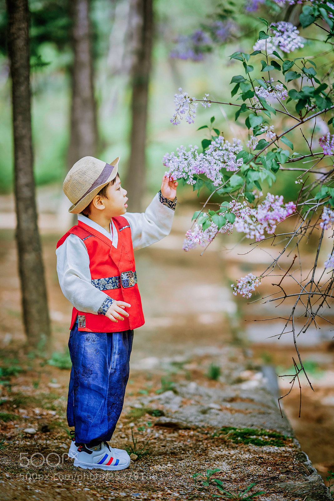 Sony a7R III sample photo. Spring photography