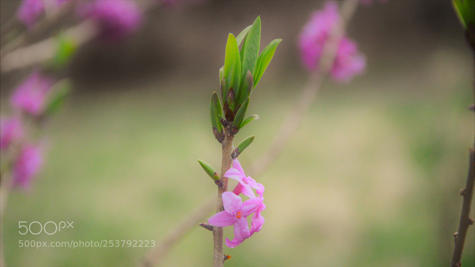 Nikon D3200 sample photo. Untitled photography