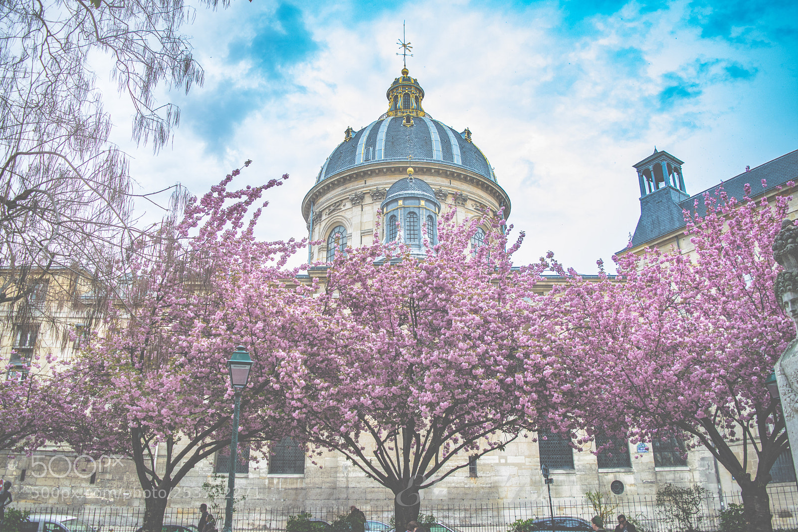 Nikon D3300 sample photo. Paris in spring photography