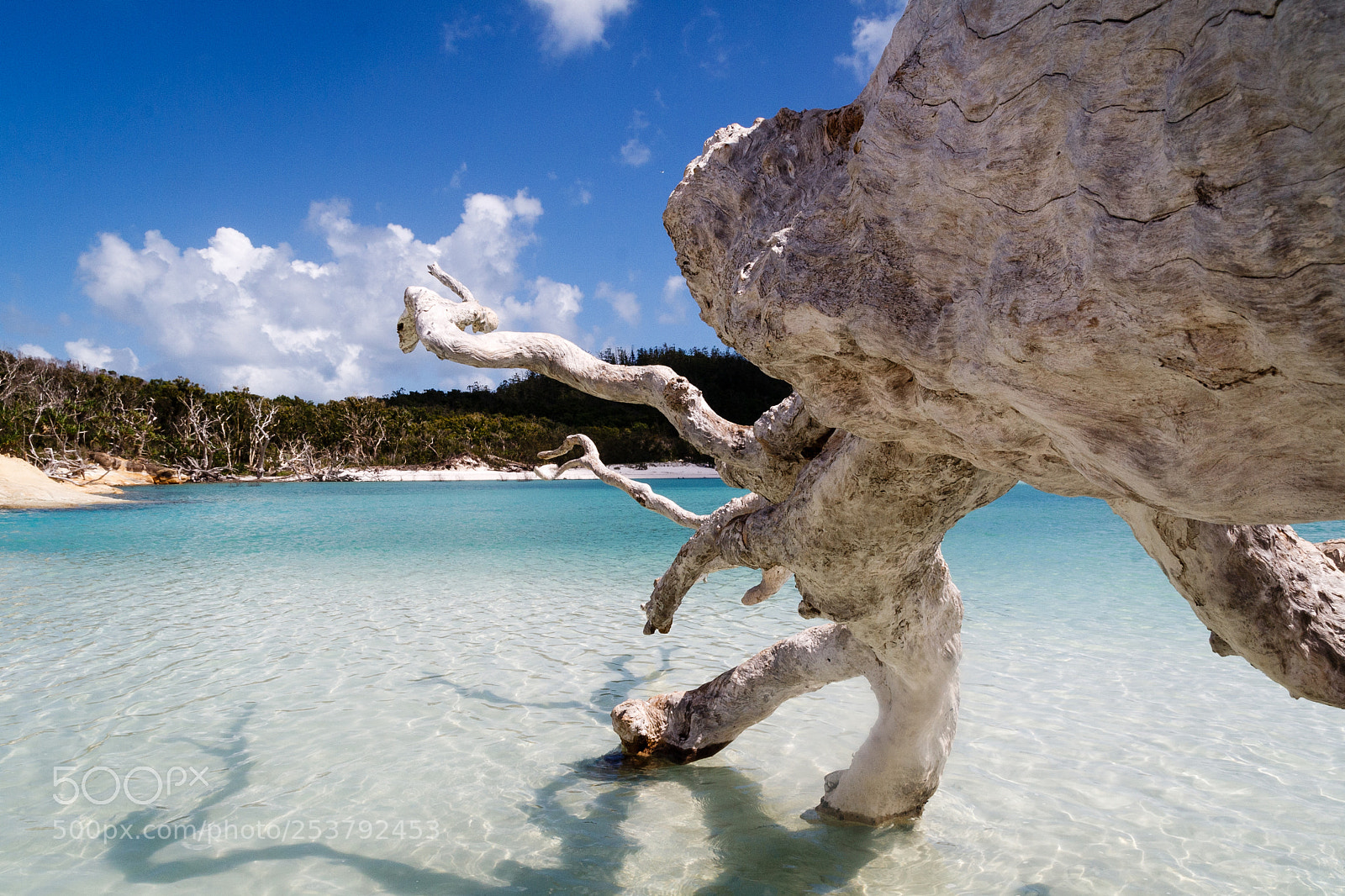 Canon EOS 1000D (EOS Digital Rebel XS / EOS Kiss F) sample photo. Whiteheaven beach photography