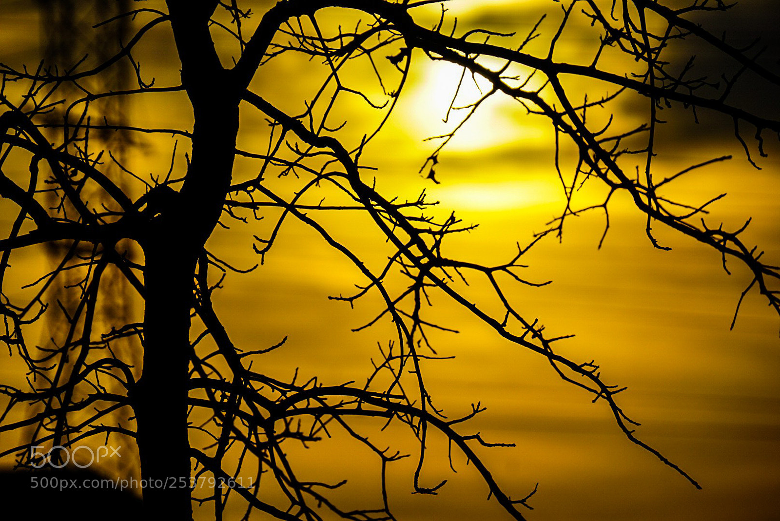 Sony a6000 sample photo. A sunset most golden photography