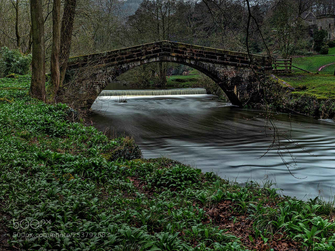 Olympus OM-D E-M1 Mark II sample photo. Derbyshire photography