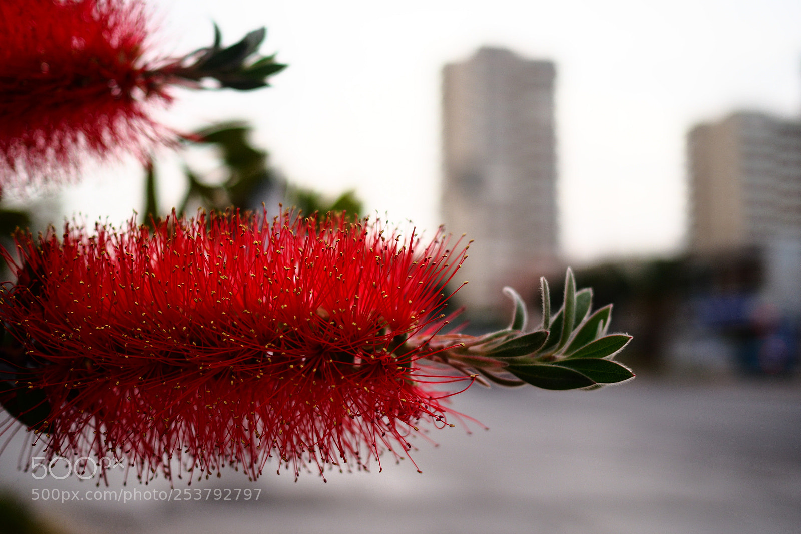 Olympus PEN-F sample photo. Urban red photography