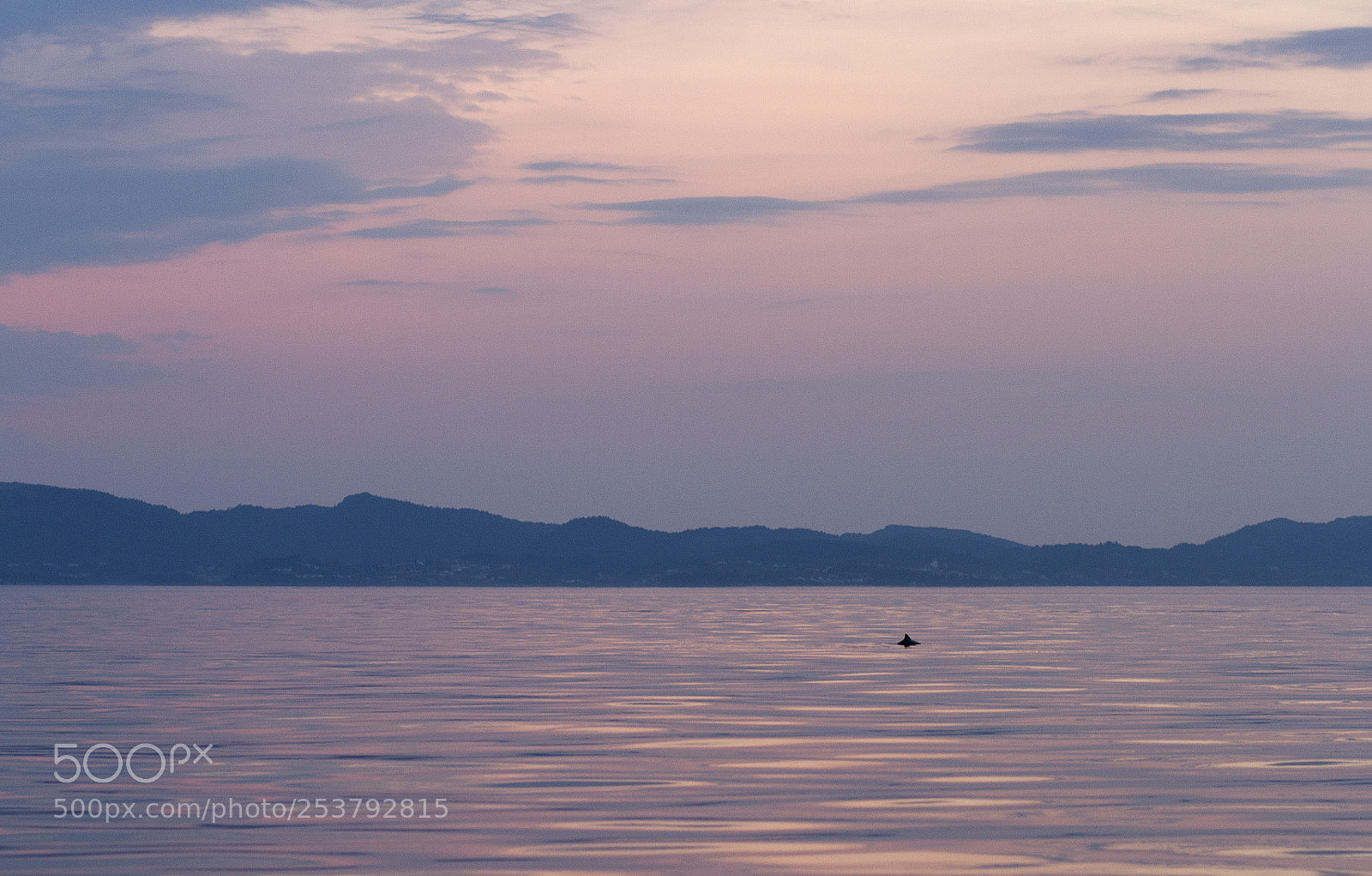 Canon EOS 7D sample photo. Porpoise pastels photography
