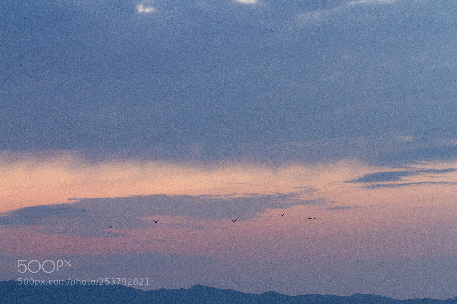 Canon EOS 7D sample photo. Up and away photography