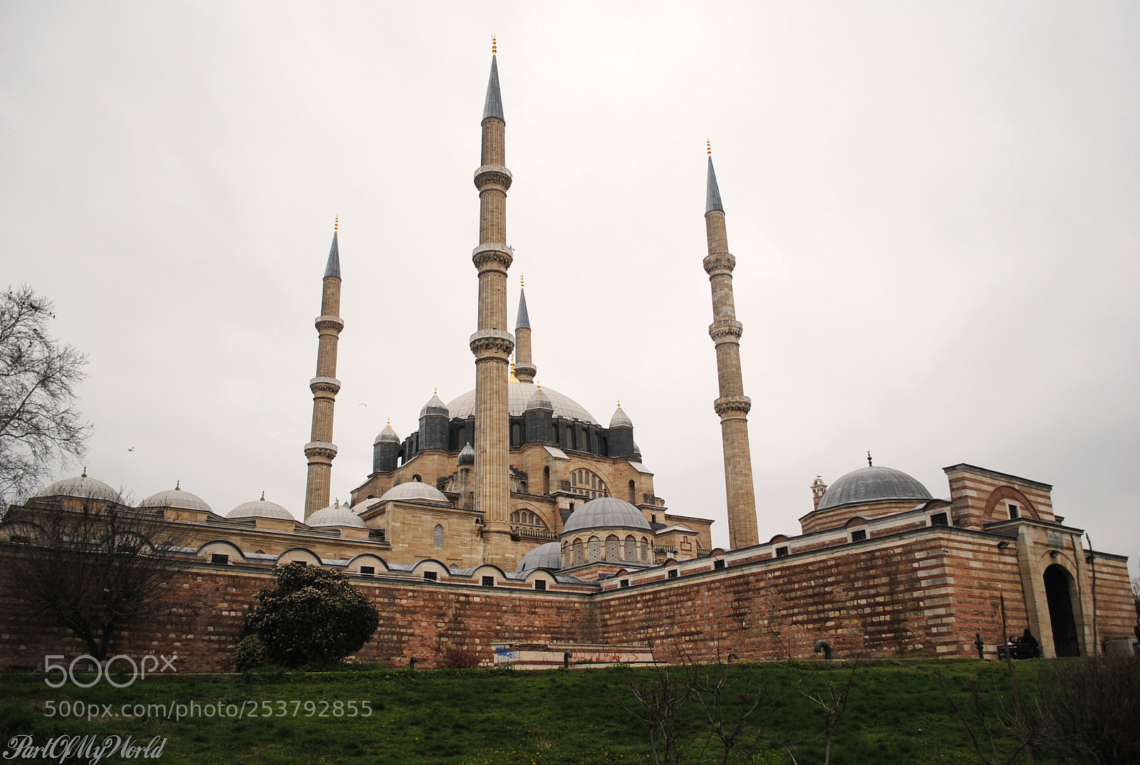 Nikon D3000 sample photo. Mosque of selim photography