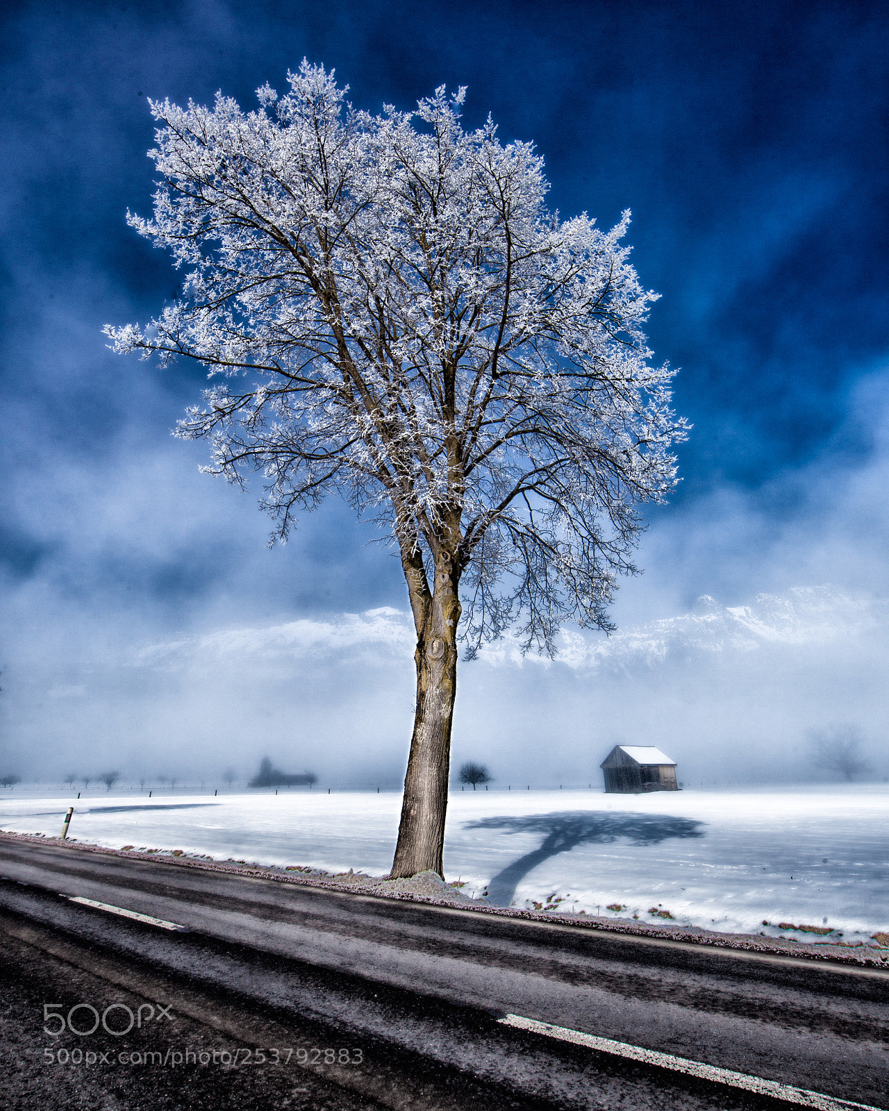 Canon EOS 5D Mark II sample photo. Cold path photography