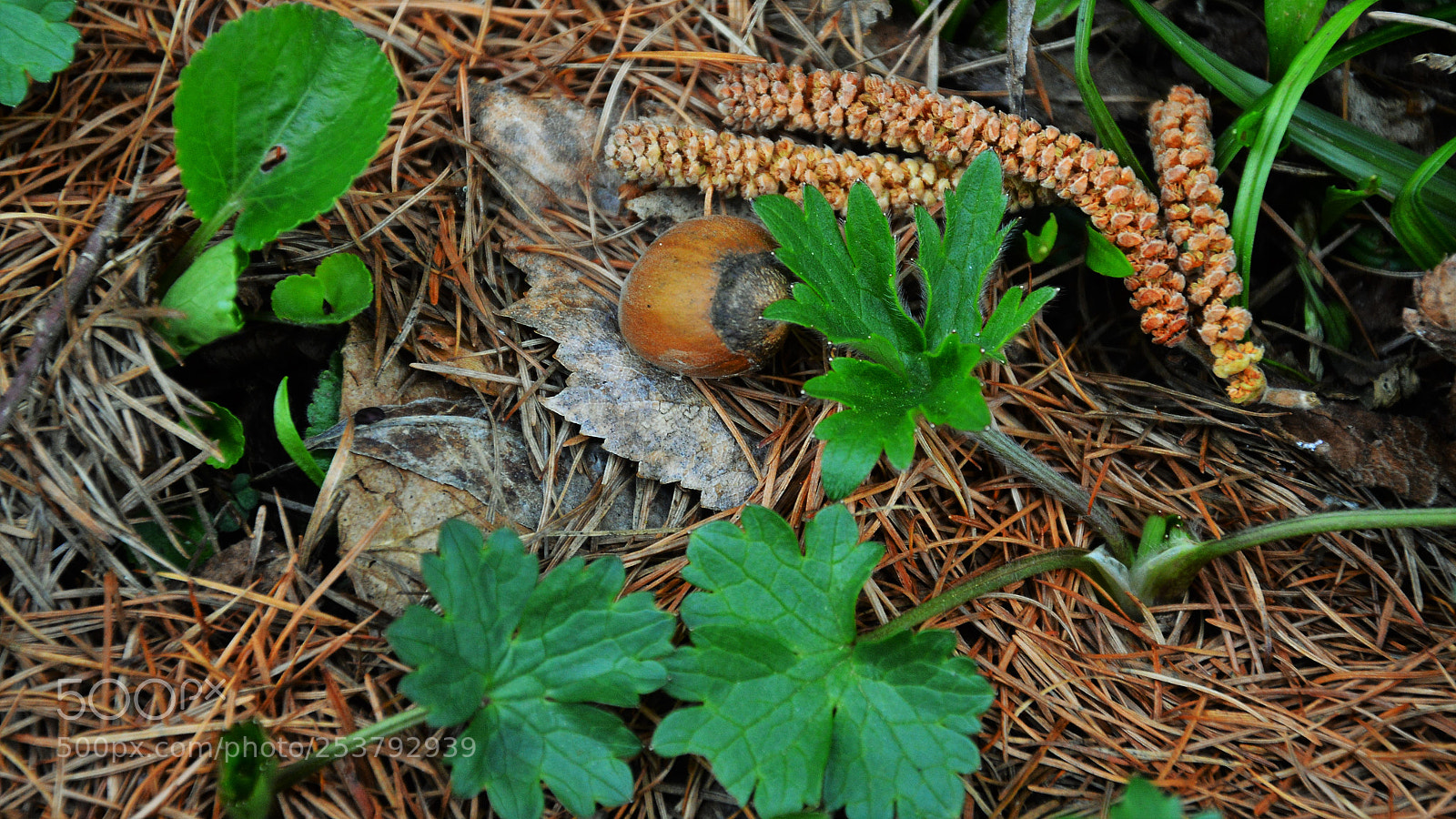 Nikon D3200 sample photo. Untitled photography