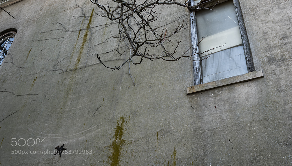 Fujifilm GFX 50S sample photo. Alley, window photography