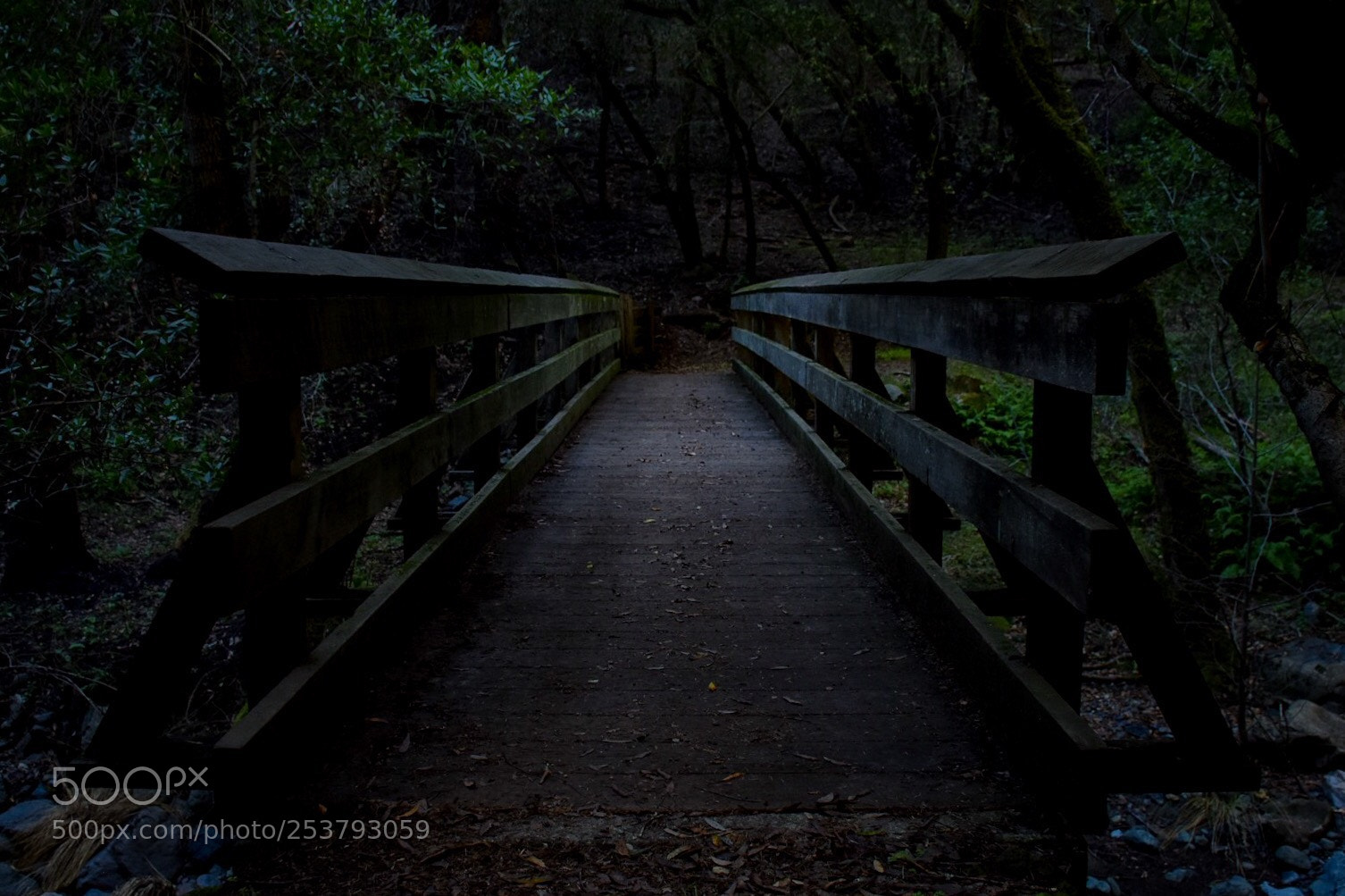 Nikon D7200 sample photo. Hood mountain  photography