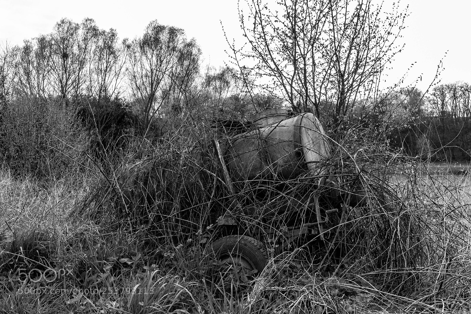 Canon EOS 80D sample photo. Broken trees 3 photography