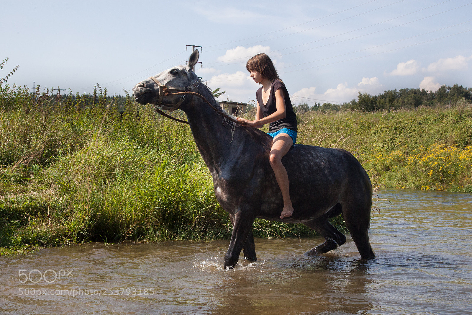 Canon EOS 5D Mark II sample photo. Bathing a horse photography