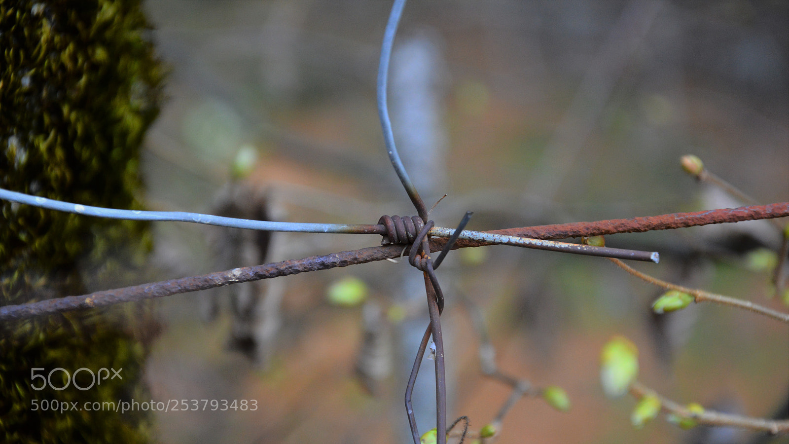 Nikon D3200 sample photo. Untitled photography