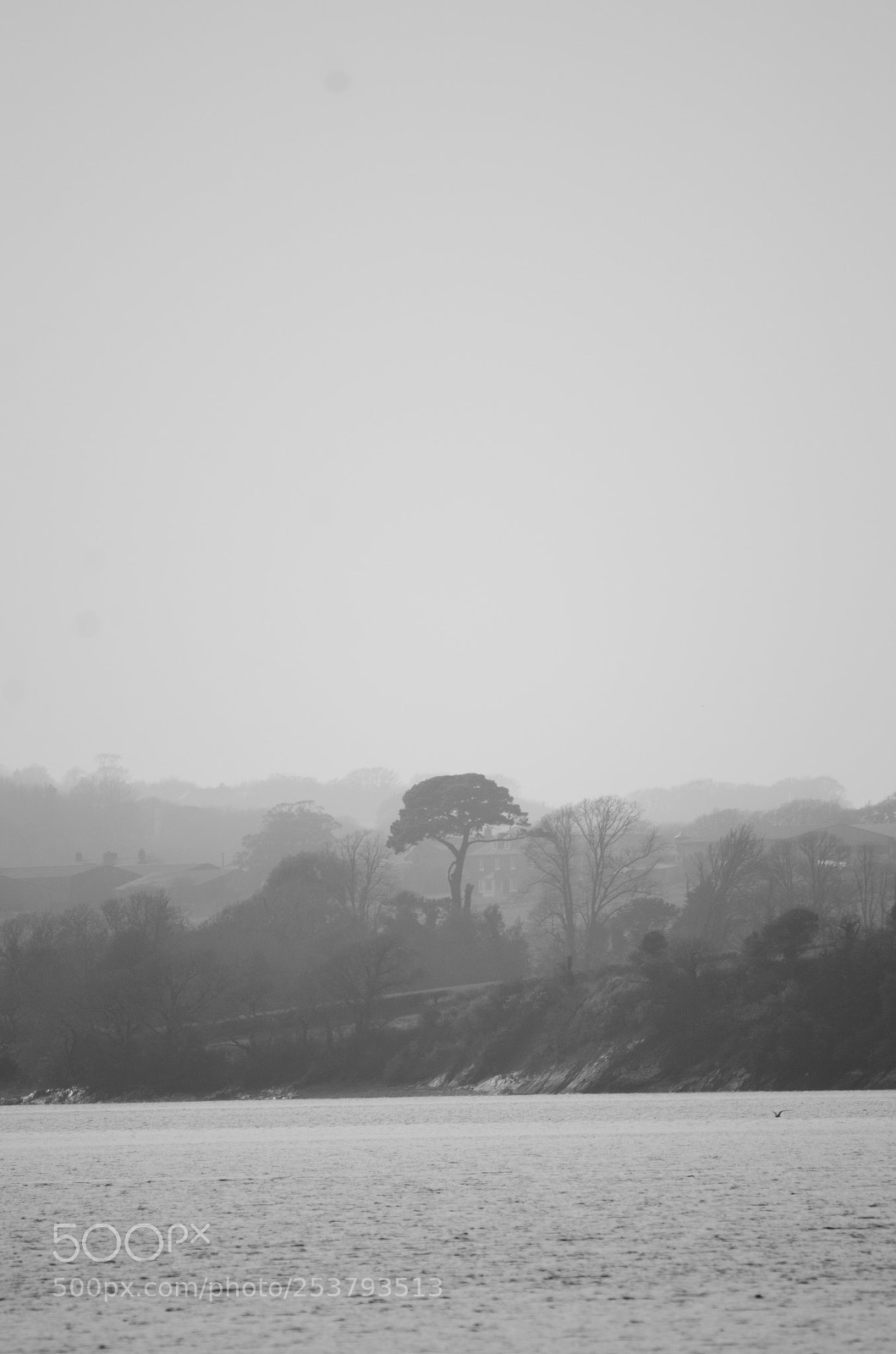 Nikon D7000 sample photo. Misty lake photography