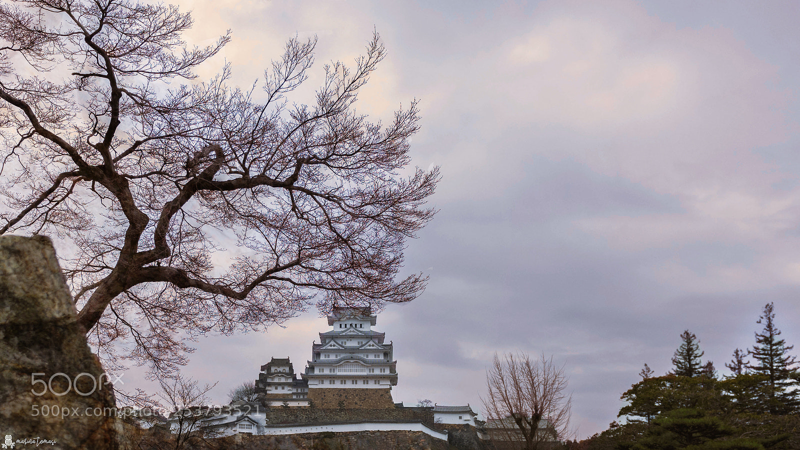Nikon D810 sample photo. Il castello dei samurai photography