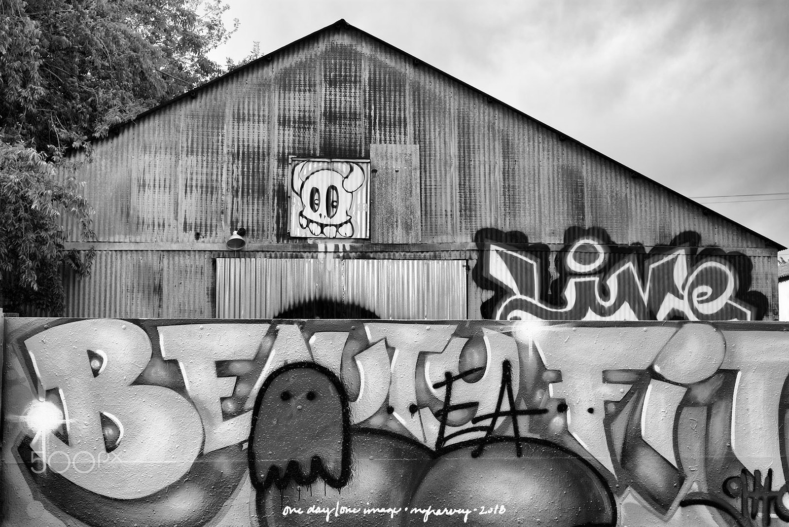 Leica M Monochrom (Typ 246) sample photo. Beauty photography