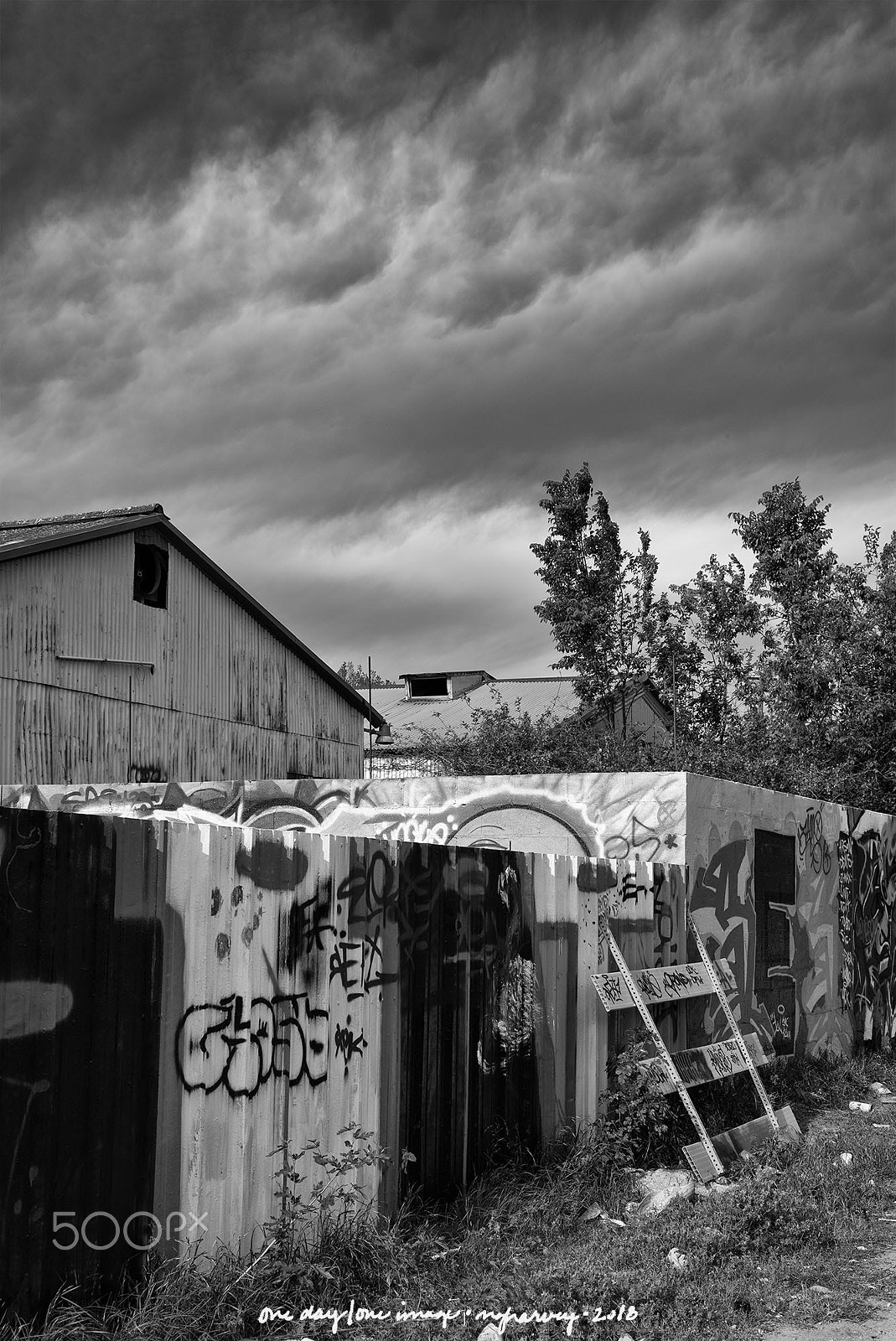 Leica M Monochrom (Typ 246) sample photo. A shrine, of sorts photography