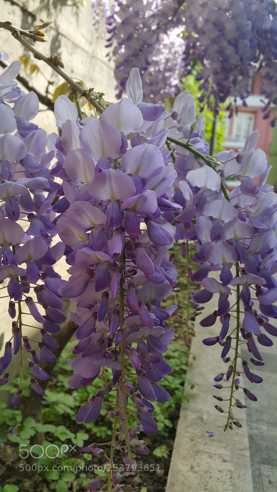 Samsung Galaxy Note4 sample photo. Spring is coming photography
