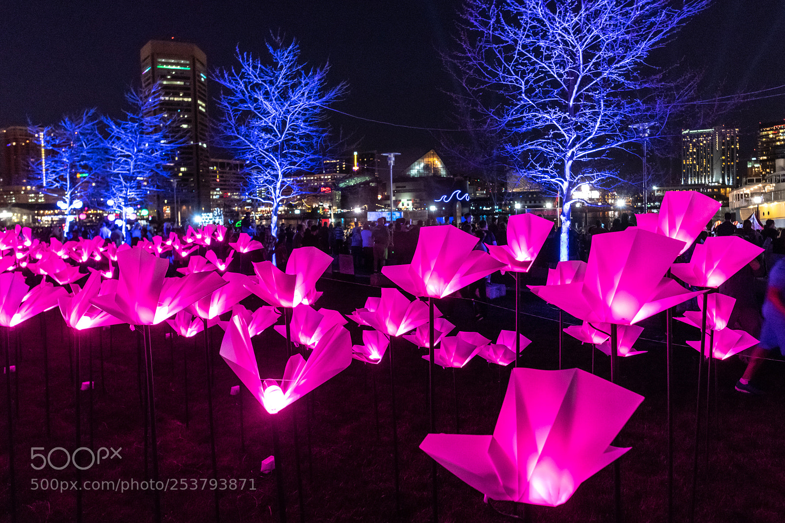 Nikon D850 sample photo. Zgl-180414-1810.jpg photography