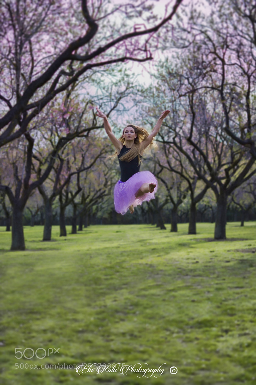 Nikon D5200 sample photo. Bailar es volar..... photography