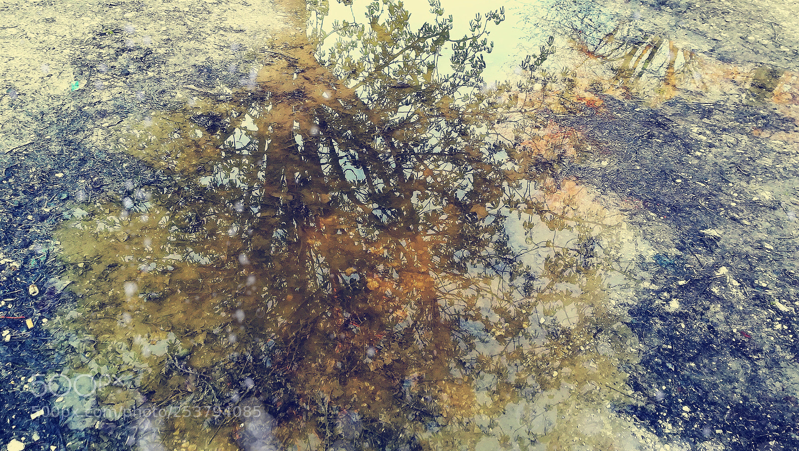 HUAWEI PRA-LX1 sample photo. Reflection photography
