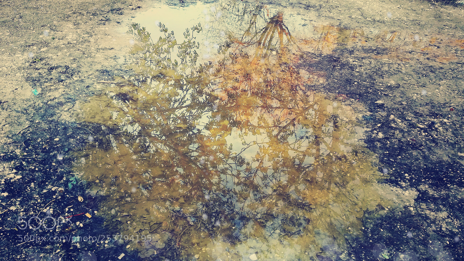 HUAWEI PRA-LX1 sample photo. Reflection ii photography