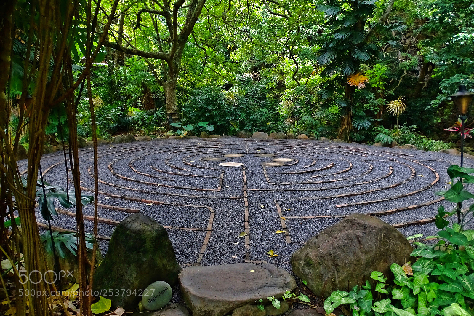 Sony Cyber-shot DSC-HX400V sample photo. Tropical labyrinth photography
