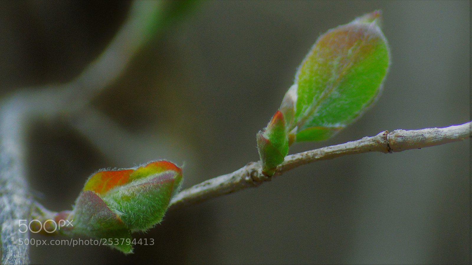 Nikon D3200 sample photo. Untitled photography