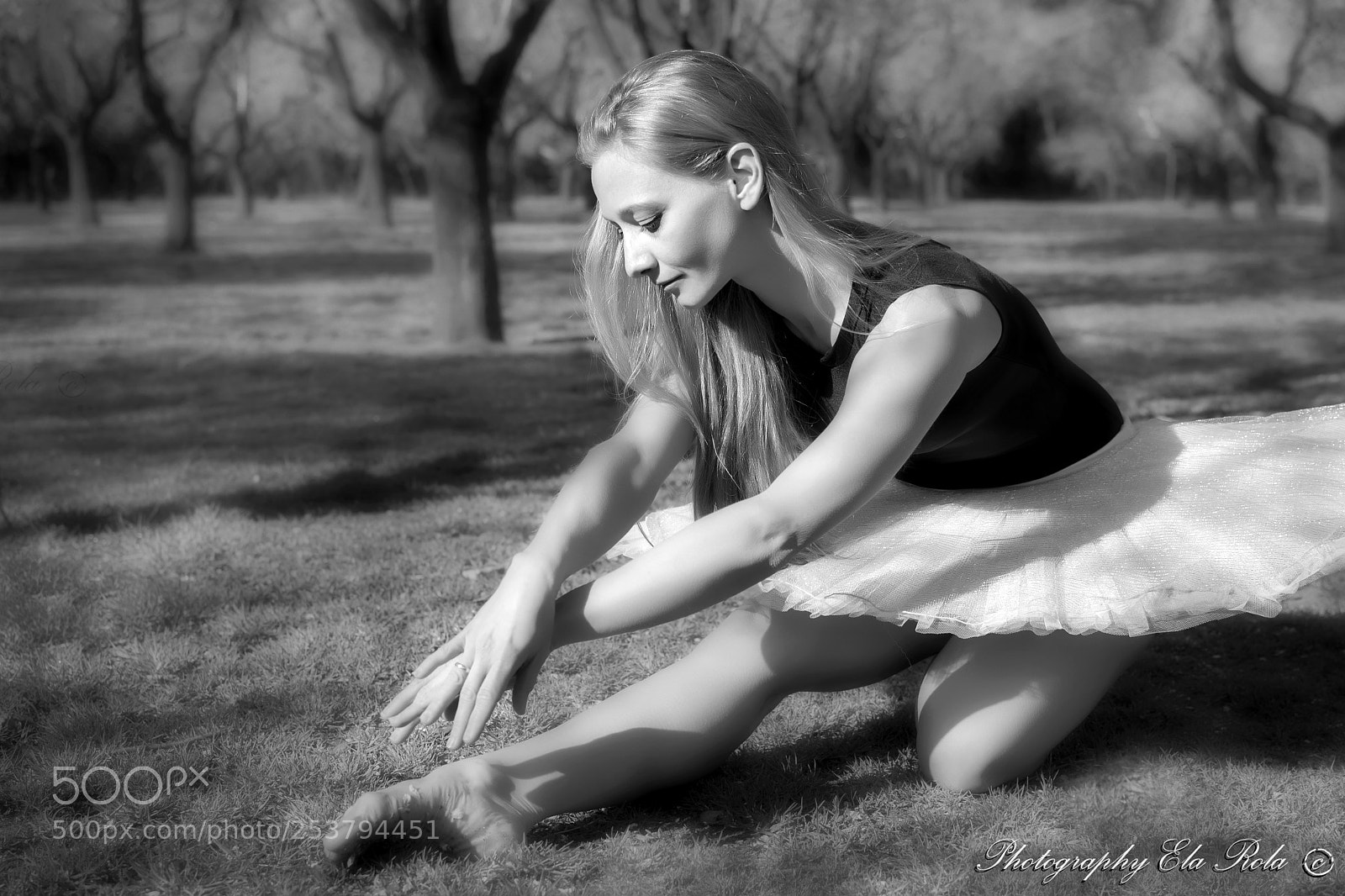 Nikon D5200 sample photo. El cisne photography
