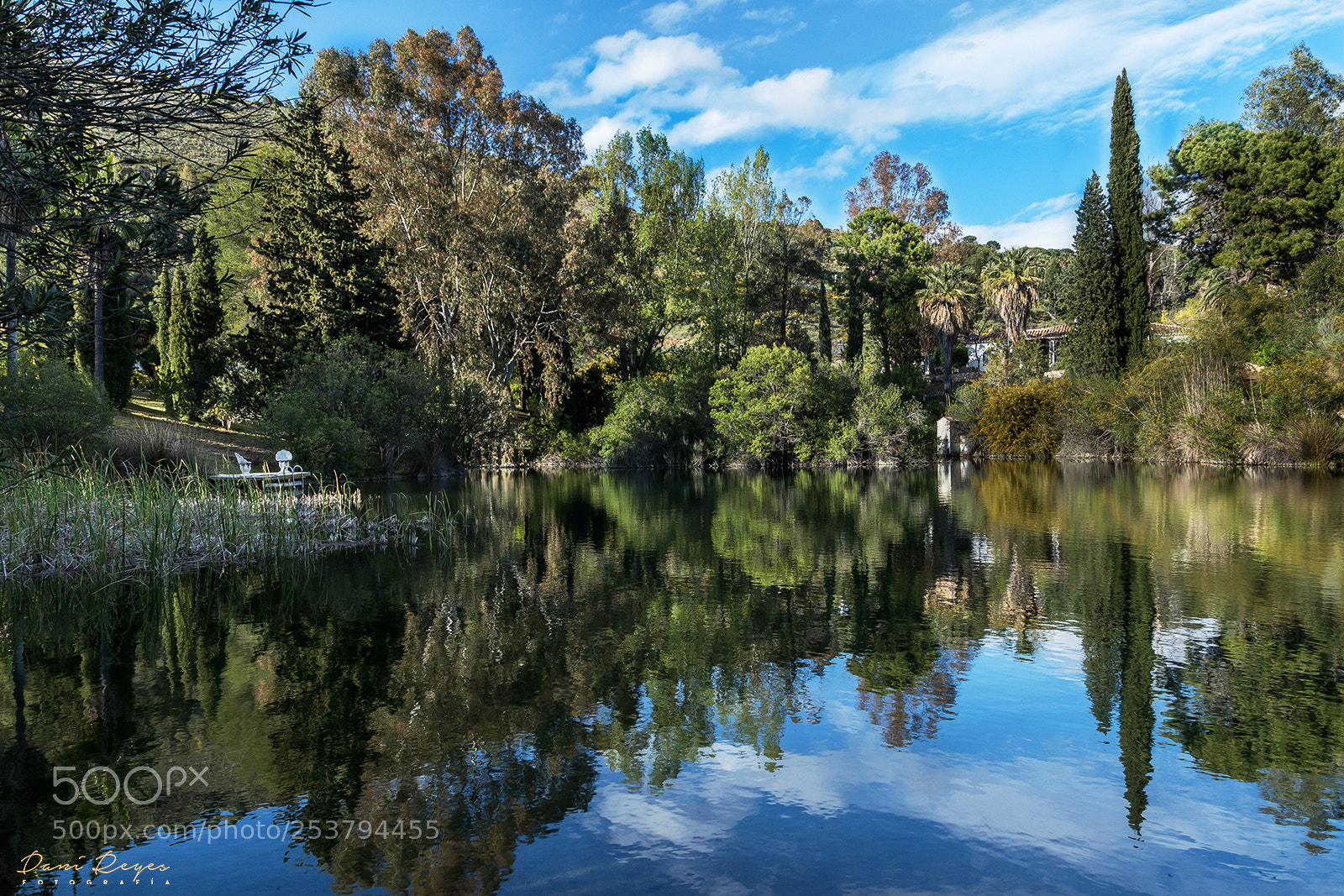Canon EOS 80D sample photo. Lake coin photography