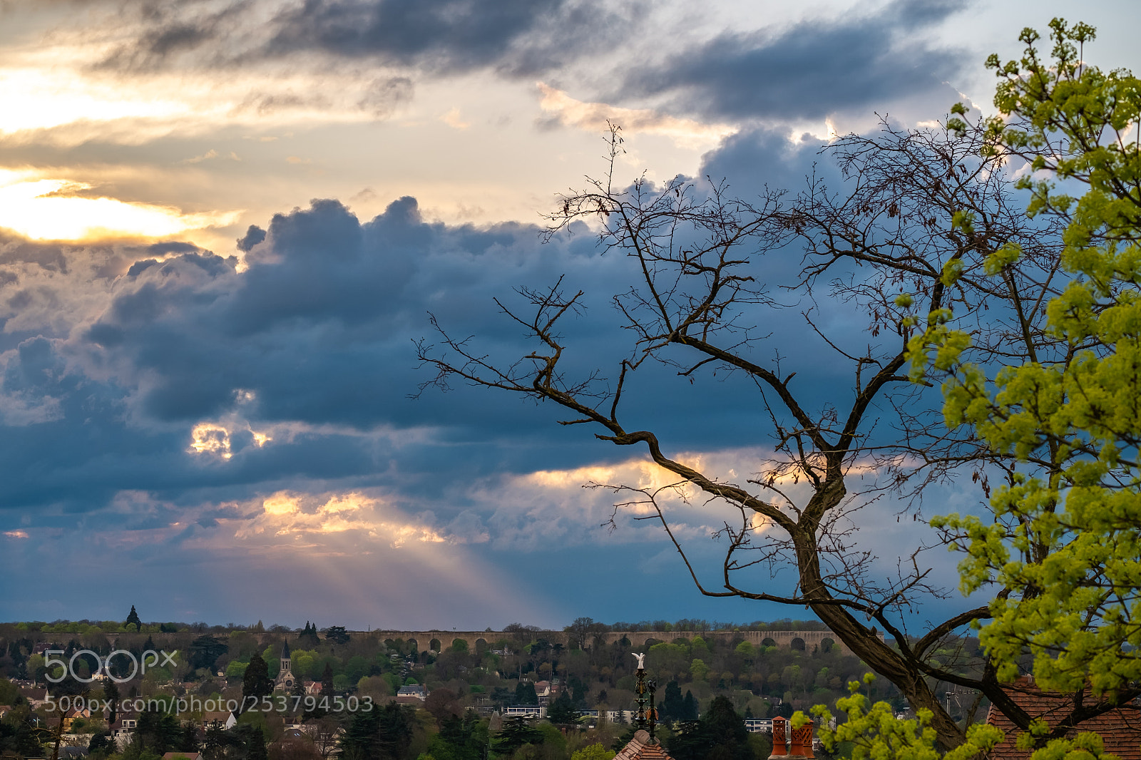 Fujifilm X-M1 sample photo. Ray of light photography