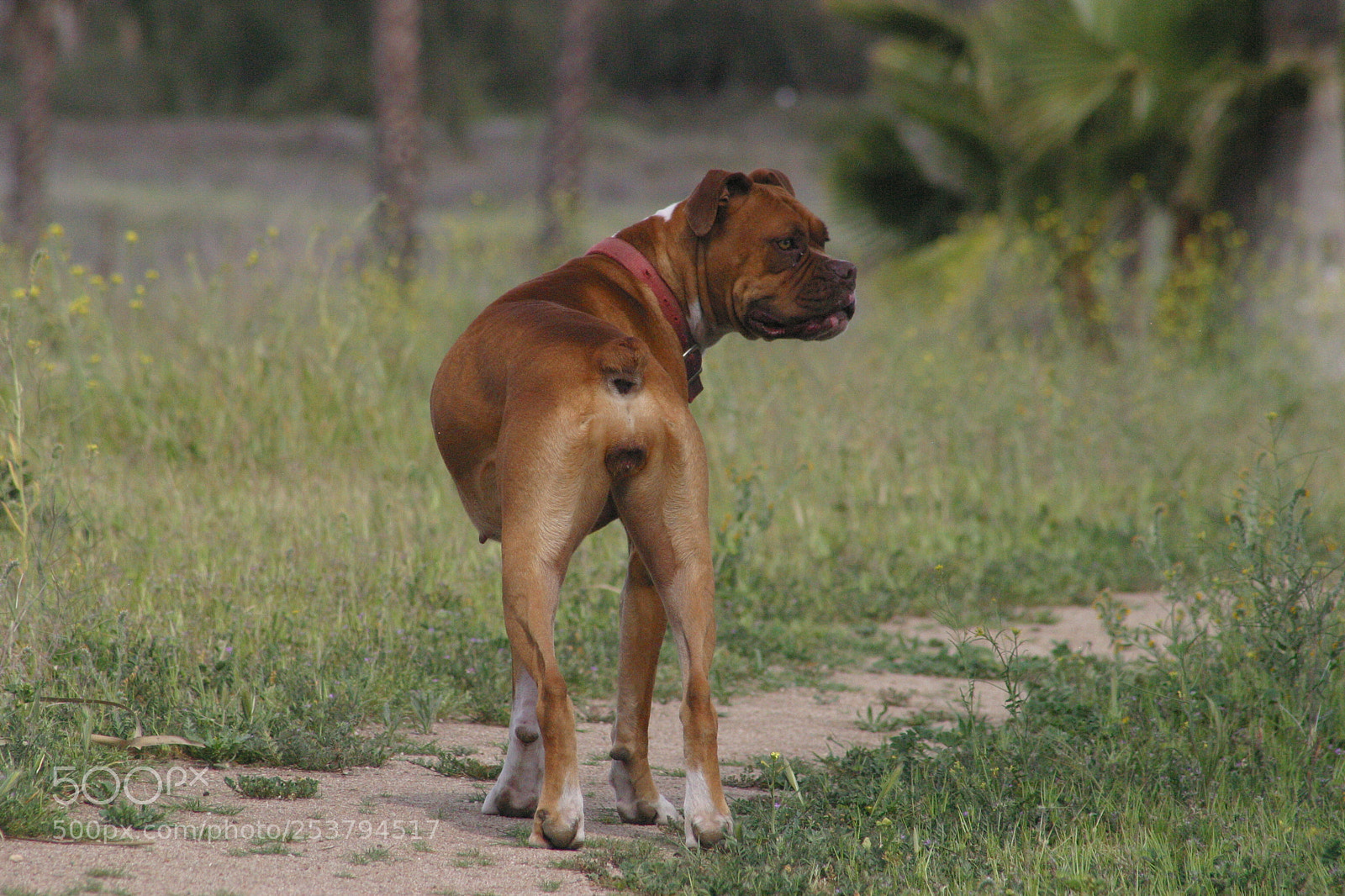 Canon EOS D60 sample photo. Ready to go photography