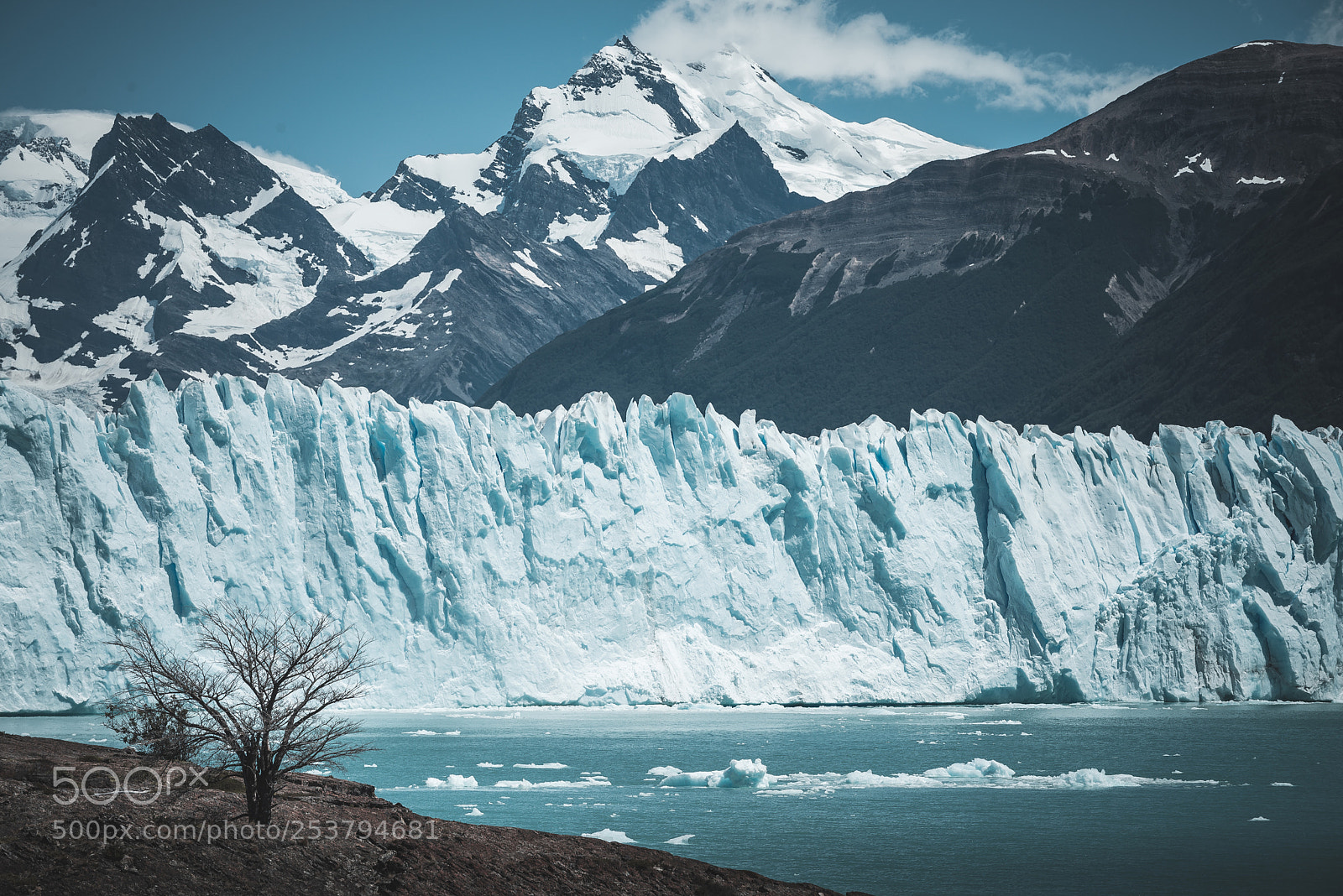 Nikon D600 sample photo. Perito moreno photography