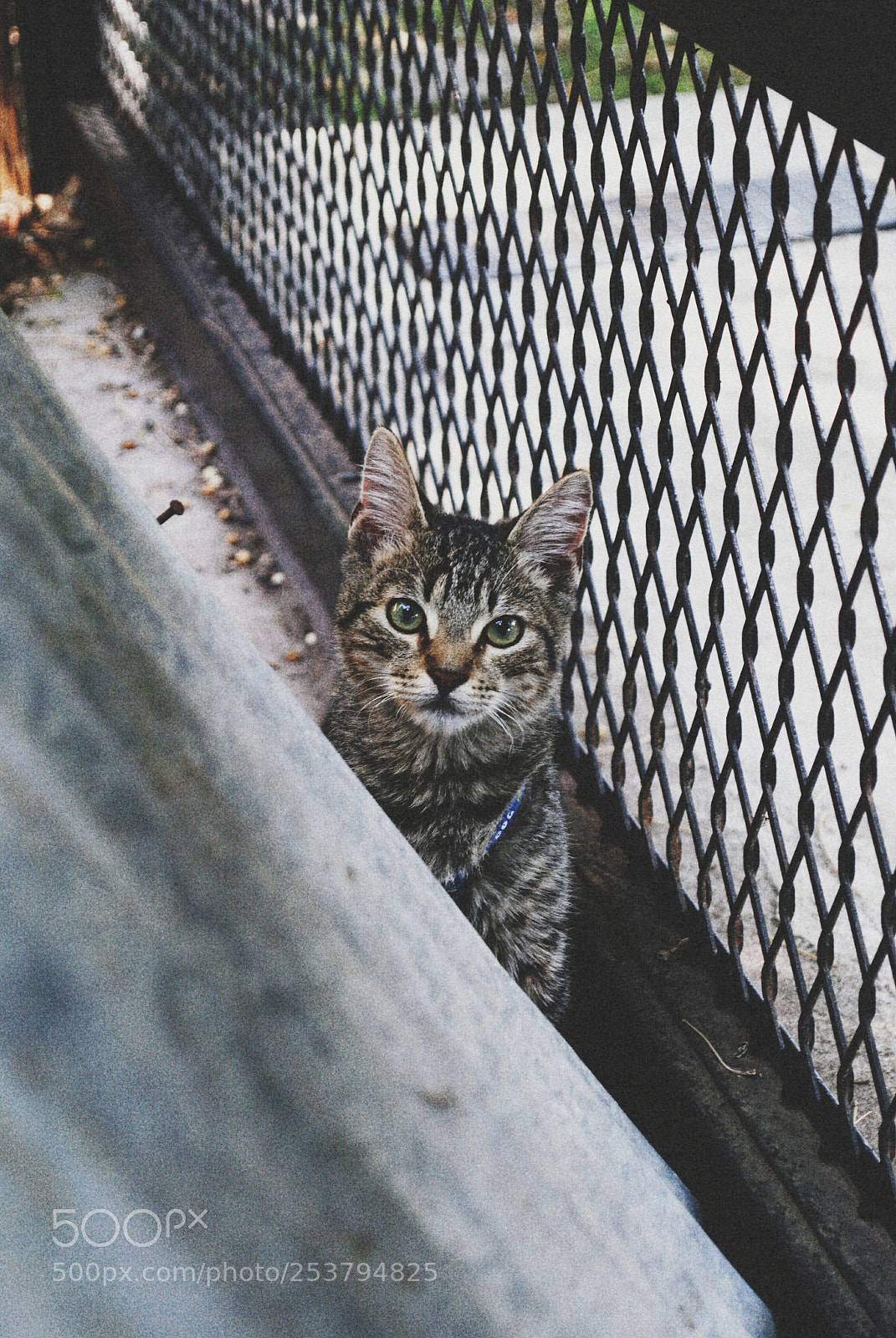 Nikon D3000 sample photo. Untitled photography