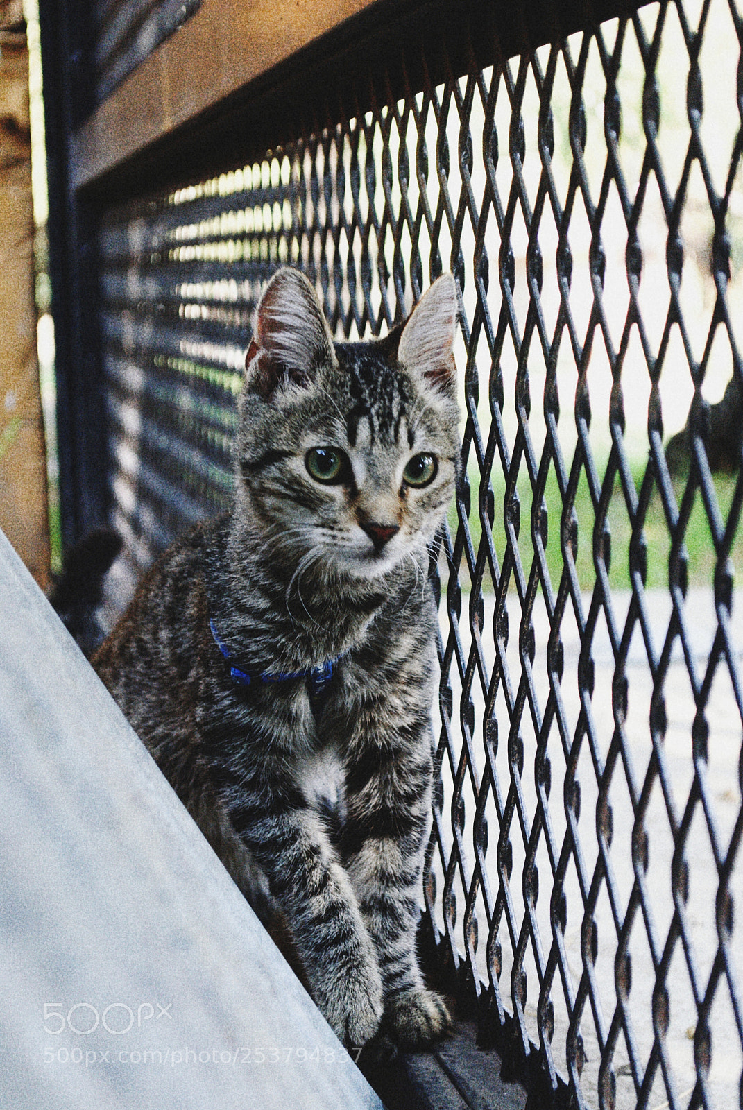 Nikon D3000 sample photo. Untitled photography