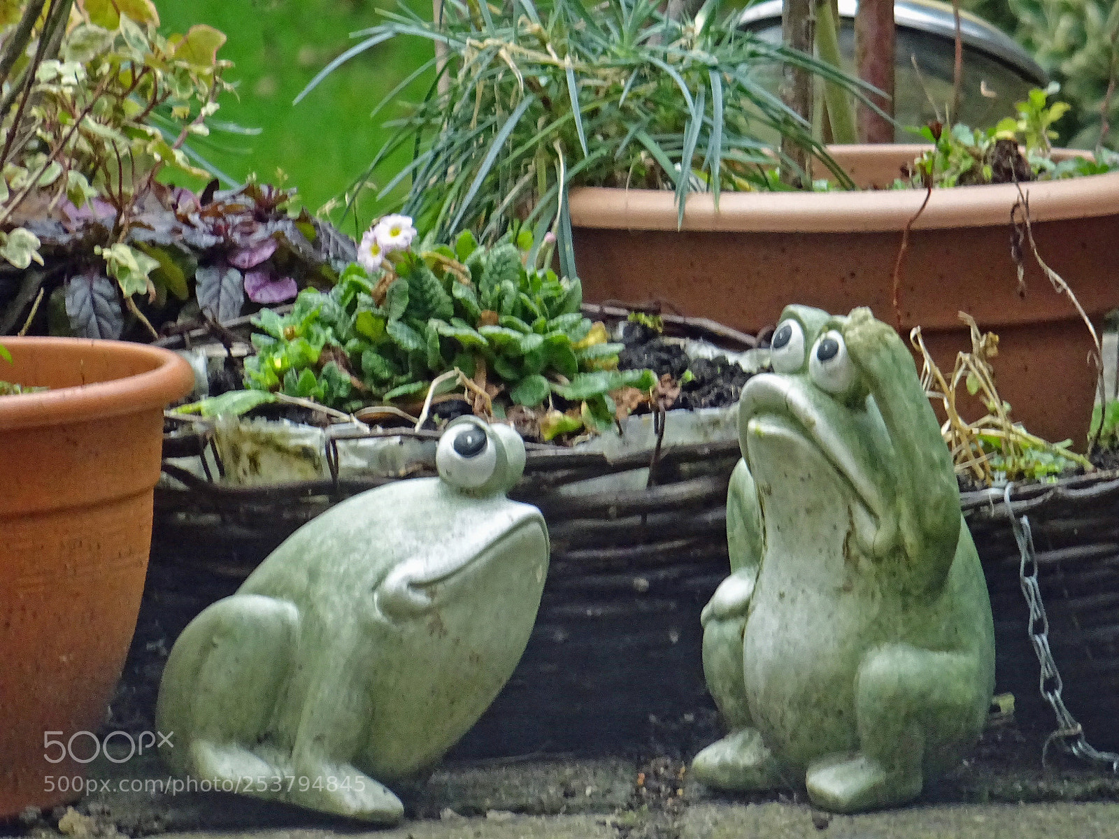 Sony DSC-HX60V sample photo. Which way to the photography