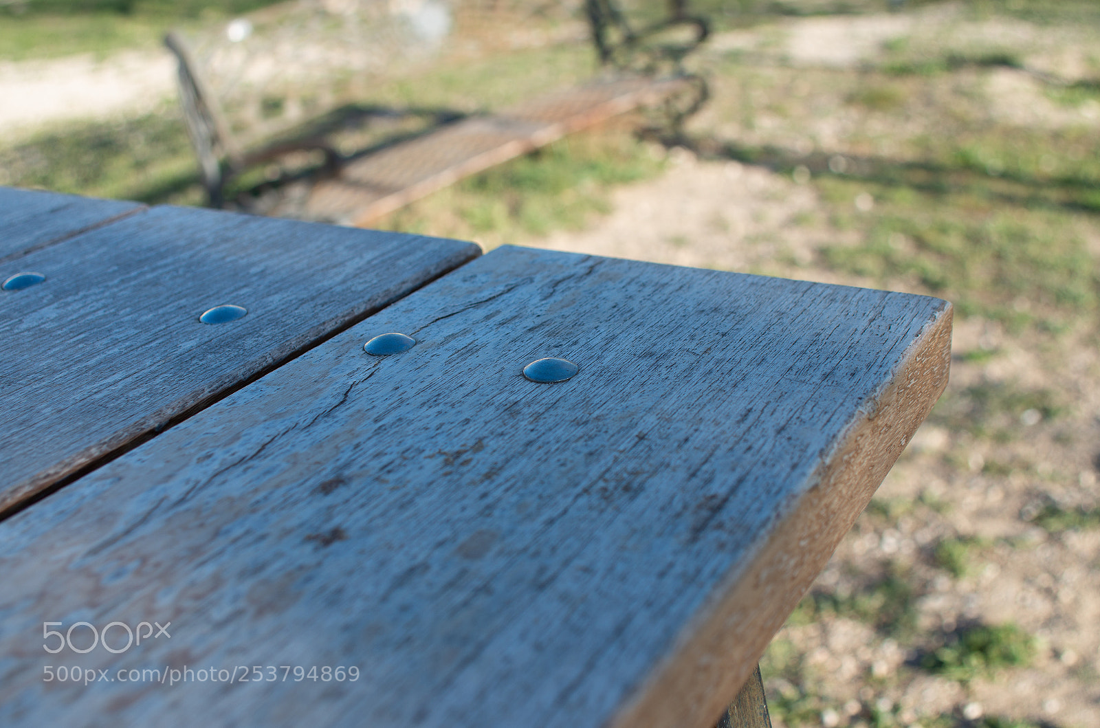 Pentax K-5 IIs sample photo. Clavo photography