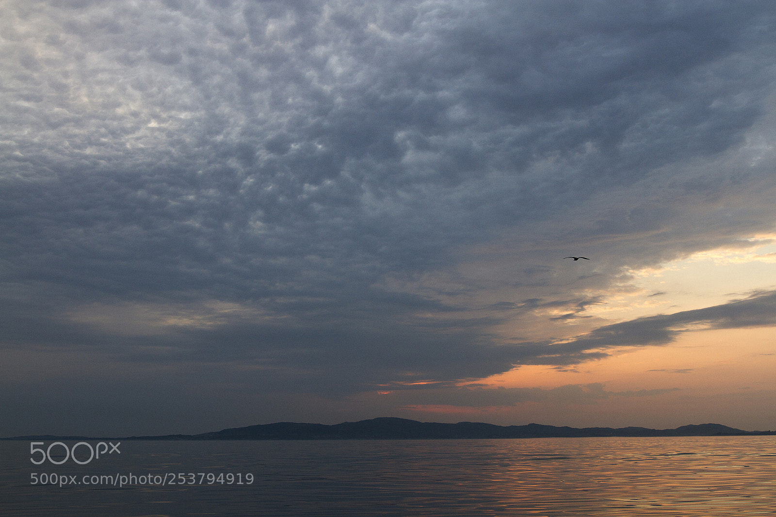 Canon EOS 7D sample photo. Untitled photography