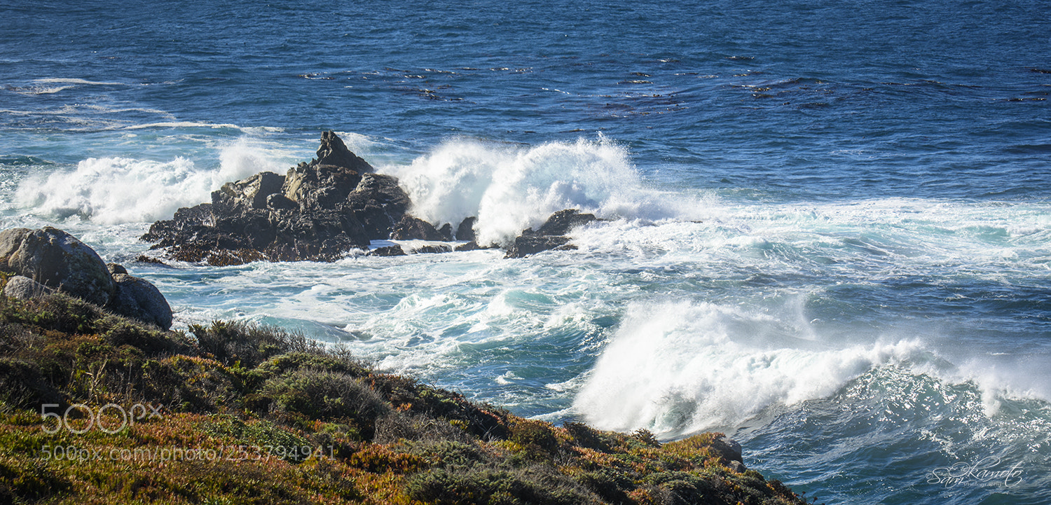 Nikon D7200 sample photo. Windy morning, monterey, ca photography