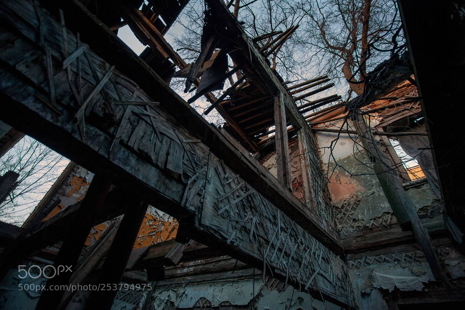 Canon EOS 5D Mark II sample photo. Untitled photography