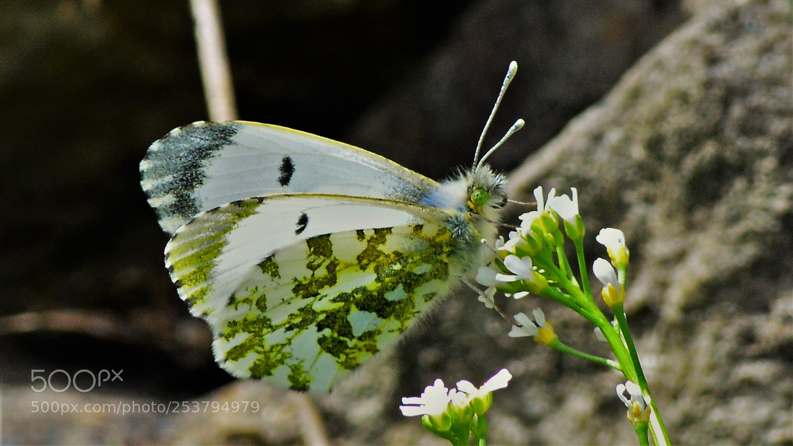 Nikon D3200 sample photo. Untitled photography